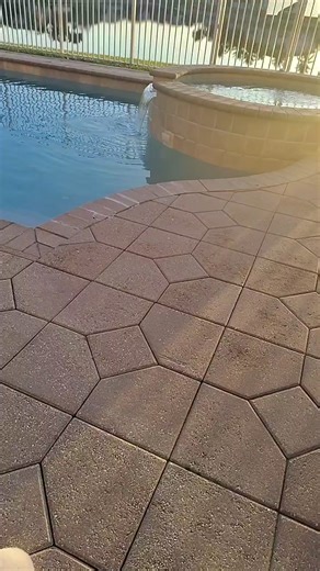 Shell Creole on Reels