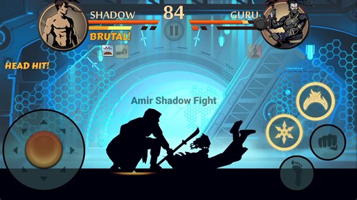 Final Boss Battle in Shadow Fight Series