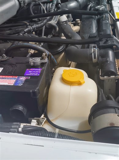 Engine Bay Detailing Transformation