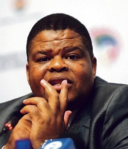 Mahlobo mulls legal action over 'rhino poaching' documentary | News24