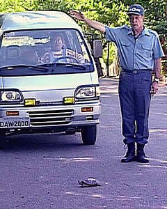 Travessia de Animais | Pegadinhas.NTG.2