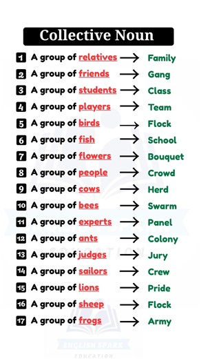 Collective Noun / Grammar #english #practice #vocabulary