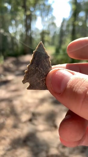 242K views · 10K reactions | 9,000 year old arrowhead discovered! #history | NCDiggins | Facebook