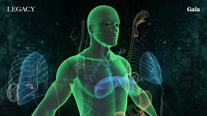 151K views · 3.4K reactions | Vibratory coherence, where every cell and organ is in tune with the whole system, which can promote increasing stem cells and telomerase throughout the body. Learn more: https://cs-link.gaia.com/3EPFACw | Gaia | Facebook
