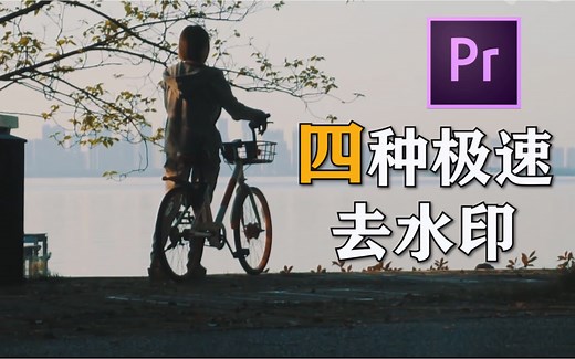 【PR教程】视频里的LOGO怎么去掉？四种方法教你快速去除视频水印，赶紧收藏