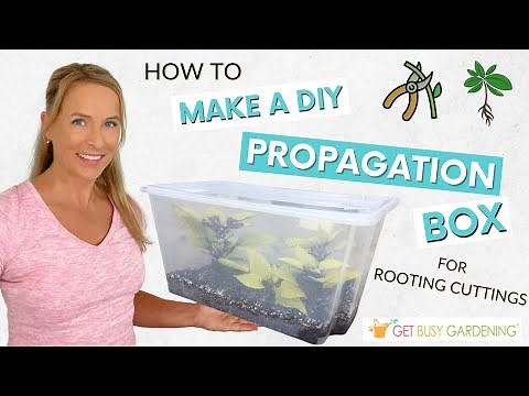 How to Make a DIY Plant Propagation Box for Rooting Cuttings