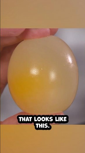 Make a bouncy egg #experiment #scienceteacher