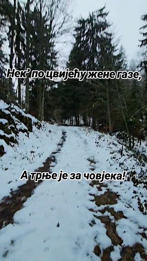 Tadija Tadic on Reels