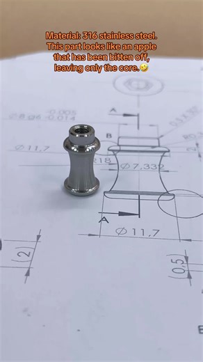 CNC Machining of 316 Stainless Steel Apple Core