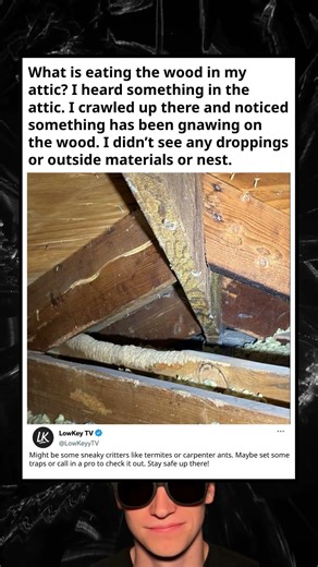 Mystery Attic Invader