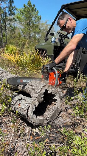 NEOTEC 58cc/62cc/68cc Gas Chainsaw Review & Features