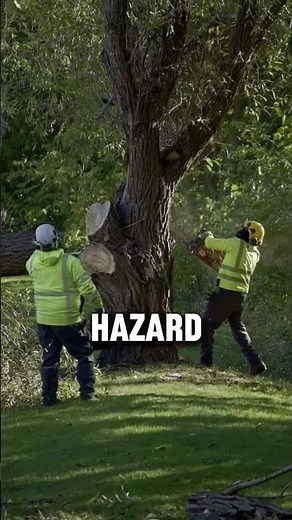 ⚠️ Fast Emergency Tree Services When You Need Them