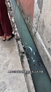 Find money with magnet🤯🧲New Viral Gadgets Smart Appliances Kitchen Utensils/ Home Inventions #shorts #shortsviral #shortvideo #shortsfeed #viralvideo | SK Abhishek Facts