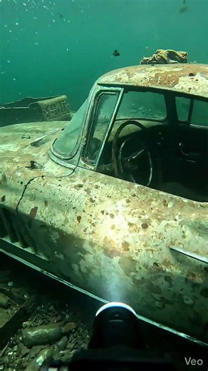 I Grabbed the Steering Wheel of a Corvette at the Bottom of the River