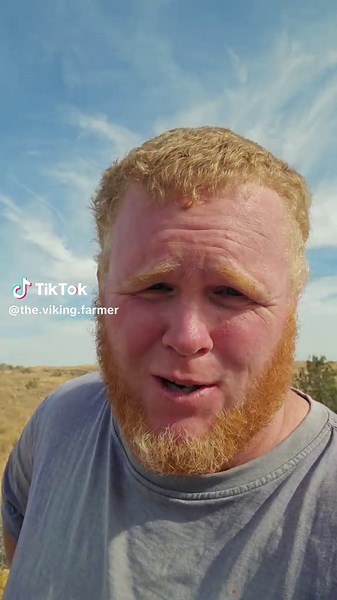 the.viking.farmer (@the.viking.farmer)’s videos with original sound - the.viking.farmer