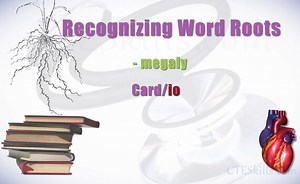 HST-MT: An Introduction to Medical Terminology