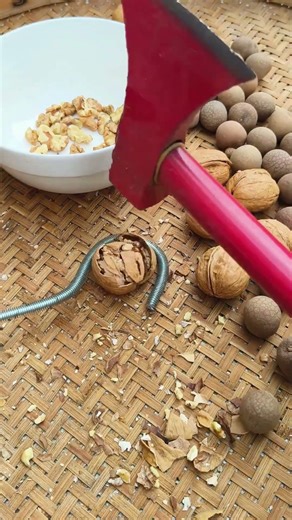 Cracking open the walnut shells with a hammer