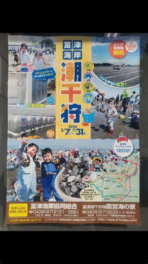 富津公園キャンプ場 on Instagram‎: "こんにちは☀⁡ ⁡案内所のユーコですꔛ‬ෆ⁡ ⁡⁡ ⁡いよいよ、富津海岸潮干狩り場【3/7(土)オープン】です♡⁡ ⁡⁡ ⁡オープンの日の潮は『中潮』🌊⁡ ⁡⁡⁡ ⁡▪️3/7(土) 中潮 海に入れる時間 10：00～⁡ ⁡ 海から上がる時間 16：00⁡⁡ ⁡⁡ ⁡▪️3/8(日)中潮 海に入れる時間 10：30～⁡ ⁡ 海から上がる時間 17：00⁡ ⁡⁡ ⁡⁡ ⚠️潮干狩りは日によって潮が違い、海に入れる時間⁡ ⁡ 海から上がる時間が違います。⁡ 必ず時間等ご確認の上、ご来場ください♪(᪤ᴖ ͜ ᴖ᪤)♪⁡ ⁡ ⁡⁡ ⁡オープン日、アサリのお味噌汁⁡ ⁡無料配布予定です✧*｡٩(ˊωˋ*)و✧*｡⁡ ⁡⁡ ⁡詳しい詳細は改めてお知らせ致します⋆͛📢⋆⁡ ⁡⁡ ⁡ #富津⁡ ⁡ #富津海岸潮干狩り場⁡ ⁡ #潮見表⁡ ⁡ #富津公園⁡ ⁡ #富津公園キャンプ場 ⁡ ⁡"‎