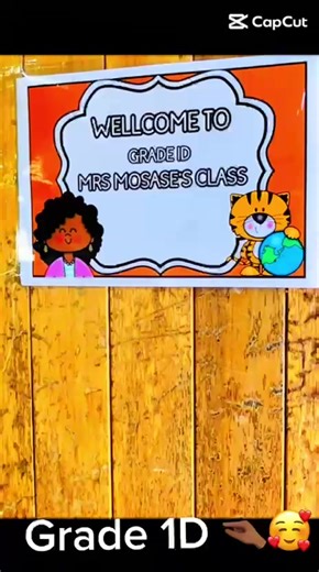 Understanding Young Teacher Challenges in Education