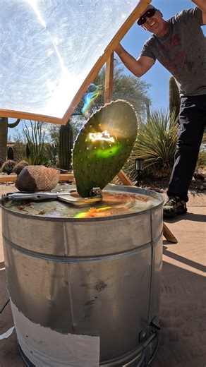 Joe Richards on Instagram: "Prickly pear cactus vs Solar Death Ray #cactus #experiment"