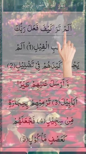 Surah Feel || Surah Al Feel || Full HD Arabic Beautiful Recitation Surah Feel #quran #surah