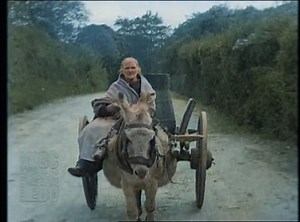 281K views · 10K reactions | Killarney, County Kerry May 1929 Various scenes of donkey drawn carts proceeding along town street. Old woman driving a donkey cart. And a goat! Movietone © University of South Carolina Libraries (5/9) #DeOldify #Photoshop #AdobeAE | Old Ireland in Colour | Facebook