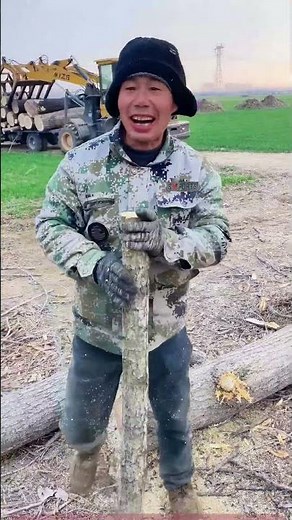 Tree Hole Repair in Action | Full Process of Fixing Tree Holes