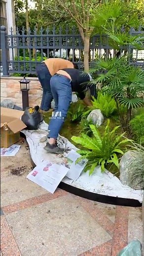 Creating a Zen inspired landscape in your courtyard #SpaceDesign #gardendesign #garden #plants