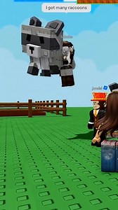 1.2M views · 12K reactions | How to get raccon pet now. Candy blossom code 2025. #candyblossom #raccon #seed #fyp #growagarden #goviral #roblox #candyblossomseed #robloxfyp #foryou #grow #growagardenroblox #robloxgames | Grow a Garden Lovers | Facebook