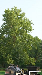 3.5K views · 51 reactions | The new Z-Aerate 50-inch takes aeration productivity to the next level, with 50-inches of aeration width, zero-turn maneuverability, and the ability to aerate and spread simultaneously. Learn more at your local dealer. #ZTurfEquipment #ZAerate | Z Turf Equipment | Facebook