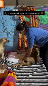 Dekh rhe ho bas pyar kro inhe kam to hota rhe ga🥹🤣 | Street_worldz709