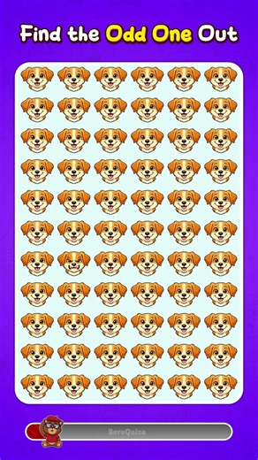 One of These Dogs is Different! Can You Spot It in 5 Seconds? 🐶👀