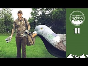 Irresistible pigeon patterns - Fieldsports Ireland episode 11