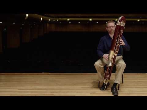 What does a contrabassoon sound like? (Ode to Joy)