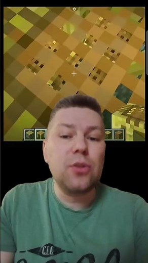 How to make a ladder in Minecraft