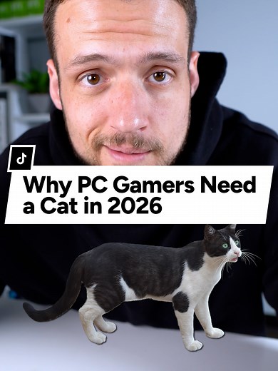 Cat Prevents PC Fire: The Unlikely Gaming PC Guardian