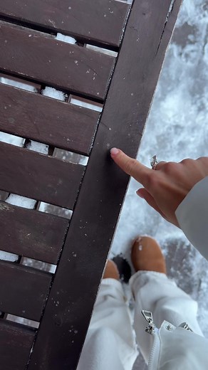 Unique Shapes of Snowflakes Revealed