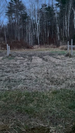 17 reactions | Last ride down back before the snow! Goodbye grass. Hello winter! #winter #snow #farmlife | Inn the Woods Farm | Facebook
