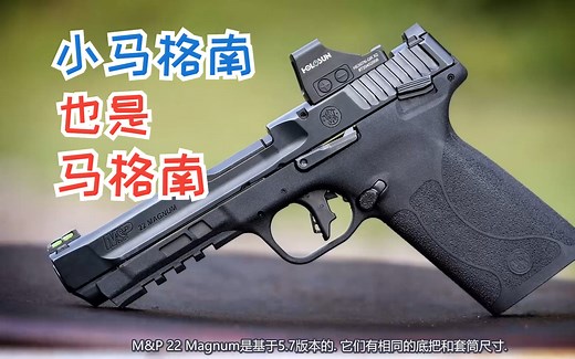 小马格南也是马格南：评测Smith & Wesson M&P 22 Magnum-Lucky Gunner