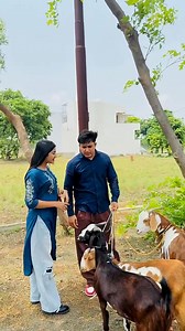 Bakre ke sath Power Bank 🤣🤣 #trending #funny #comedy | Kashika Sisodia