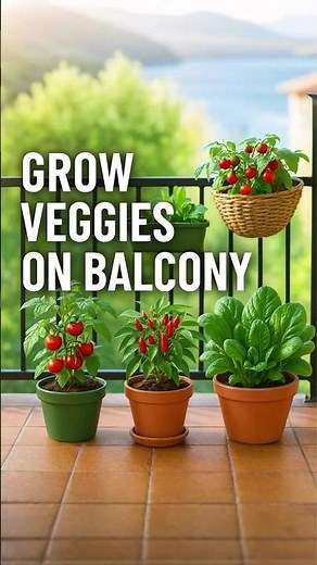 Balcony Vegetable Garden Ideas|Grow Fresh Veggies in Small Spaces