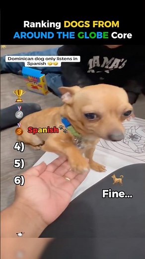Ranking Dogs From Different Countries Core 🐕🌍