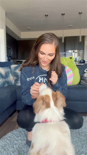 How to Teach Hand Targeting (Touch) 🖐️🐾 1️⃣ Start simple Hold your open hand a few inches from your dog’s nose. 👉 For food-driven dogs, you can place a treat between your fingers (this is what I do). 2️⃣ Let them investigate Most dogs will naturally sniff or move toward your hand. 3️⃣ Mark the moment The second their nose touches your hand, mark it with a flashlight or a thumbs up (or “yes” for hearing dogs). 4️⃣ Reward immediately Give the treat right away so they learn: nose to hand = good 