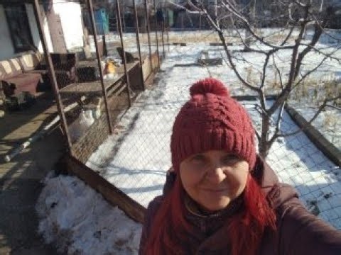 ПОКУСАЛИ ТАЙСОНА!МОРОЗИ,СВІТЛА МАЛО,ТА ЩЕ Й ВОДА ЗАМЕРЗЛА!ОГЛЯД ГОСПОДАРСТВА,ПОСИЛКИ ТА ПОКУПОК !!?