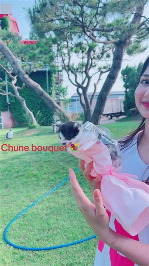 Chunchun bouquet: काठमाडौँका लागि क्याट प्रेमी उपहार आइडिया