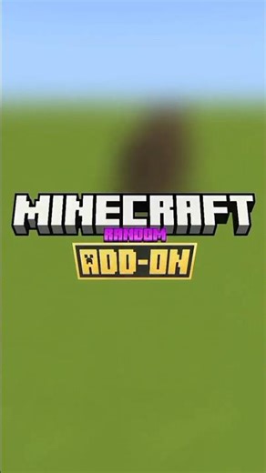 Random Minecraft Add-on💥