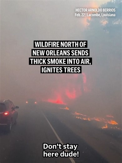 Video of a wildfire north of New Orleans shows thick smoke and trees catching fire. An interstate was closed for several hours because of low visibility but reopened Sunday evening. #fire #wildfire #louisiana