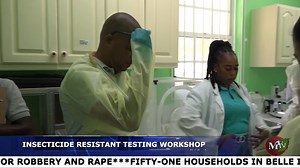 In a proactive step to combat the continued threat of dengue fever, Vector Control authorities convened a pivotal workshop aimed at unraveling the most effective chemical strategies for eradicating dengue-bearing mosquitoes. | MTV News GD