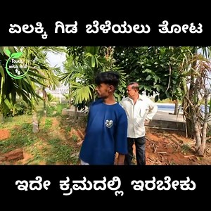 101K views · 2.1K reactions | ಏಲಕ್ಕಿ ಗಿಡ ಬೆಳೆಯಲು ತೋಟ ಇದೇ ಕ್ರಮದಲ್ಲಿ...