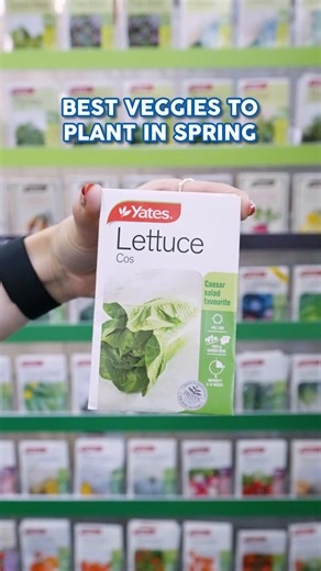 2.3K views · 11 reactions | Get your garden ready for Spring!  Here are the best veggies to plant now for a fresh, tasty harvest. | Mitre 10 | Facebook